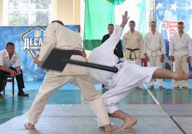 Чемпионат аэромобильных войск по рукопашному бою