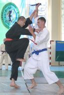 Чемпионат аэромобильных войск по рукопашному бою