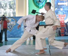 Чемпионат аэромобильных войск по рукопашному бою