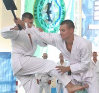 Чемпионат аэромобильных войск по рукопашному бою