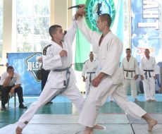 Чемпионат аэромобильных войск по рукопашному бою