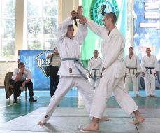 Чемпионат аэромобильных войск по рукопашному бою