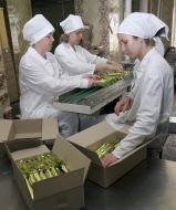 75 years of Ukrainian ice-cream