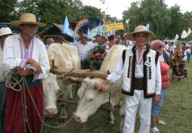 Participants of the Sorochynsky fair