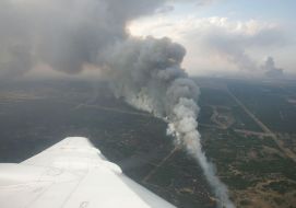 Лесные пожары