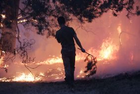 Лесные пожары