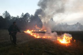 Лесные пожары