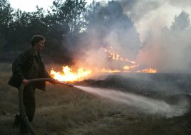 Лесные пожары