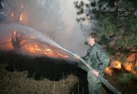 Лесные пожары