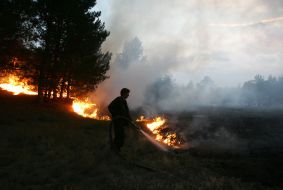 Лесные пожары