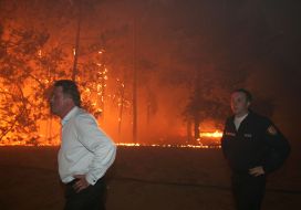 Виктор Ющенко и Нестор Шуфрич