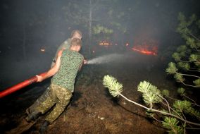 Лесные пожары