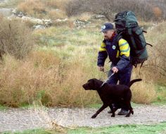 Sergey Gordiienko with his dog Peleng-Rumb