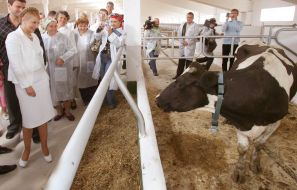 Открытие евромолочного комплекса в с. Большая Медведивка