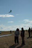 Ukraine’s Championship on parachute sport - 2007
