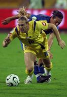 Andrey Voronin and Mauro Camoranesi