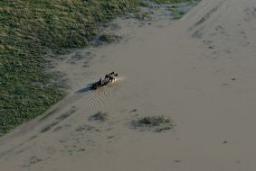 Flood in Lvov region