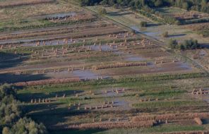 Flood in Lvov region