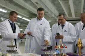 Виктор Янукович и Борис Колесников