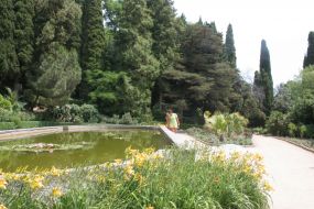 Відвідувачі роздивляються басейн