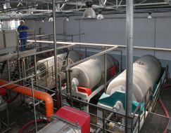 Process preparation to wine