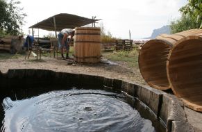 Процесc приготовления вина