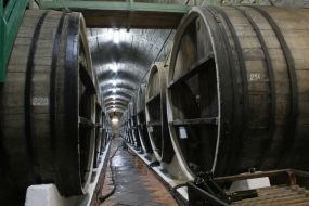 Процесc приготовления вина