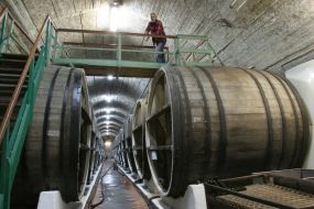 Процесc приготовления вина