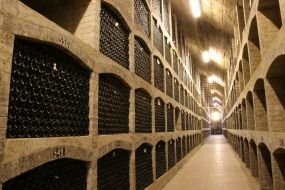 Процесc приготовления вина