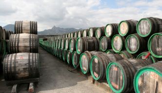 Процесc приготовления вина