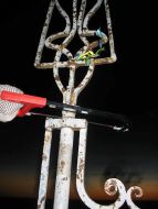 Уничтожение государственных символов Украины на горе Говерла