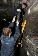 Работники НПАО ”Массандра”