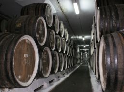 Бочки с вином