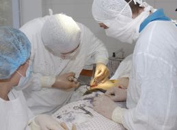 Операция по увеличению груди