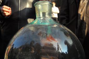 Protest of Bratstvo Party