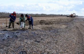 Ликвидация последствий загрязнения моря мазутом