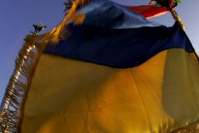 Ukrainian flag during the meeting devoted to Freedom Day