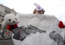 Акция ”Посмотри с глаза своей шубе”