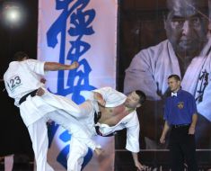 Europe championship of kiokushin karate