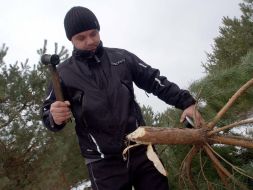 Preparation of new-year trees