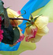 Opening of new school