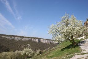 Chufut-cale cave town