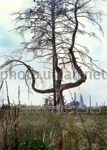Photo Anniversary of the Chernobyl nuclear disaster - UNIAN