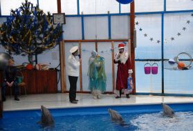 New-year show