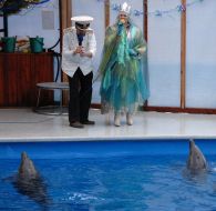 New-year show