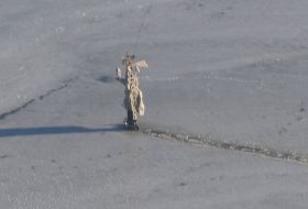 Верхушка мачты теплохода ”Ванесса”