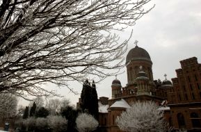 National university in Chernovtsy