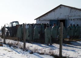 Bird flu in Crimea