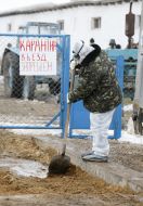 Bird flu in Crimea