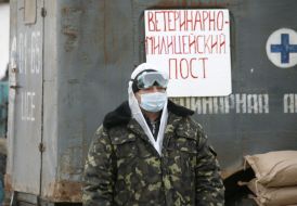 Bird flu in Crimea